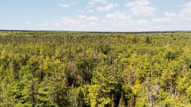 Rare opportunity to own a 440-acre private retreat just minutes - photo 44