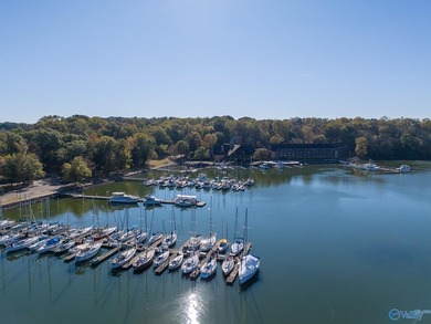 Being next to the Tennessee River & directly behind the boat - photo 47