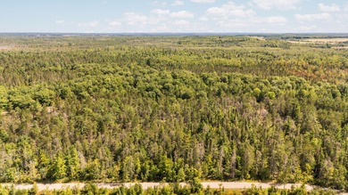 Rare opportunity to own a 440-acre private retreat just minutes - photo 47