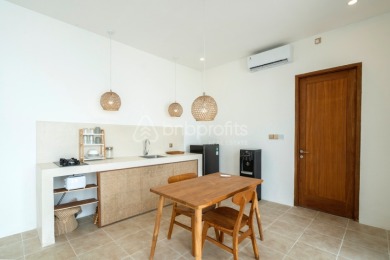 Brand New and Charming 1 BR Villa with Office Space and Rooftop - photo 4