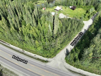 Lake Lot For Sale in North Pole, Alaska