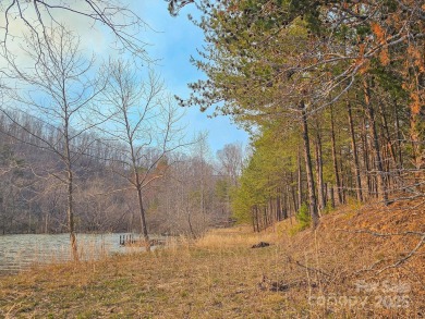 Lake Acreage For Sale in Mill Spring, North Carolina