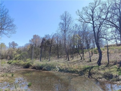 Lake Lot For Sale in Hackett, Arkansas