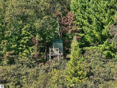 Beautiful 47-acre parcel with over 1,300 feet of lakefront! - photo 11