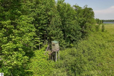 Beautiful 47-acre parcel with over 1,300 feet of lakefront! - photo 13