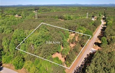 This nearly three-acre, level interior lake lot offers the - photo 13