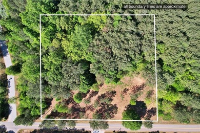 This nearly three-acre, level interior lake lot offers the - photo 14