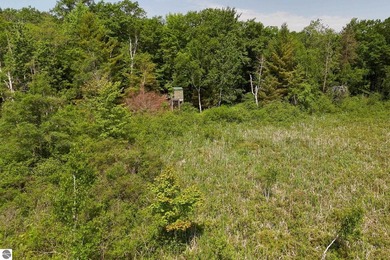 Beautiful 47-acre parcel with over 1,300 feet of lakefront! - photo 15