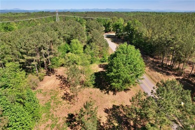 This nearly three-acre, level interior lake lot offers the - photo 17