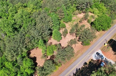 This nearly three-acre, level interior lake lot offers the - photo 18