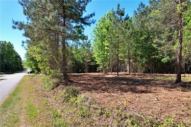 This nearly three-acre, level interior lake lot offers the - photo 19