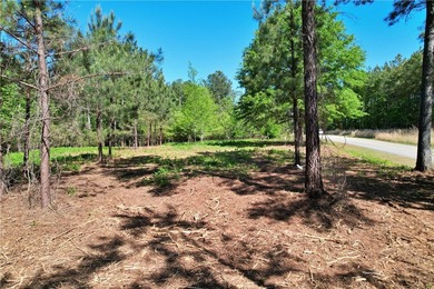 This nearly three-acre, level interior lake lot offers the - photo 20
