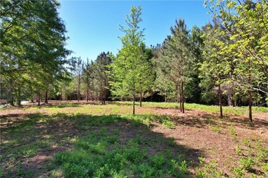 This nearly three-acre, level interior lake lot offers the - photo 21