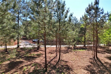This nearly three-acre, level interior lake lot offers the - photo 22