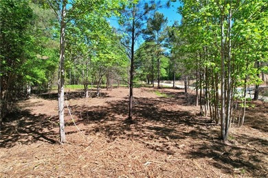 This nearly three-acre, level interior lake lot offers the - photo 23