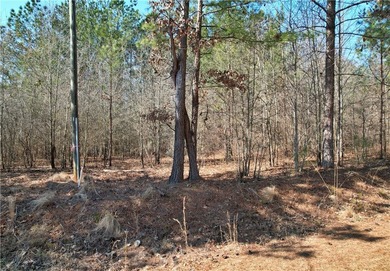 This nearly three-acre, level interior lake lot offers the - photo 24