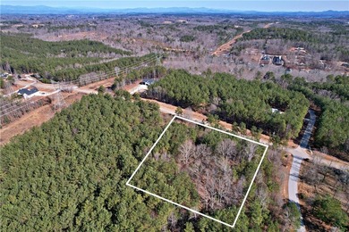 This nearly three-acre, level interior lake lot offers the - photo 25
