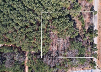 This nearly three-acre, level interior lake lot offers the - photo 26