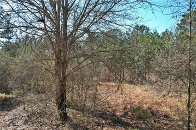 This nearly three-acre, level interior lake lot offers the - photo 28