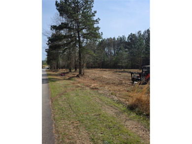 This nearly three-acre, level interior lake lot offers the - photo 34
