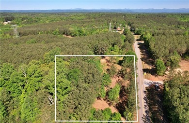 This nearly three-acre, level interior lake lot offers the - photo 35