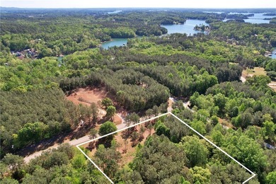 This nearly three-acre, level interior lake lot offers the - photo 36