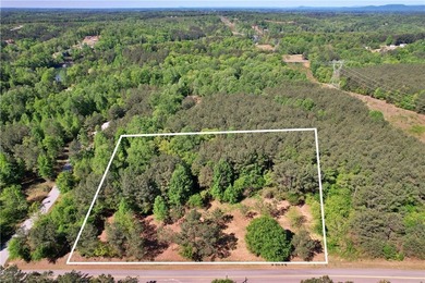 This nearly three-acre, level interior lake lot offers the - photo 38