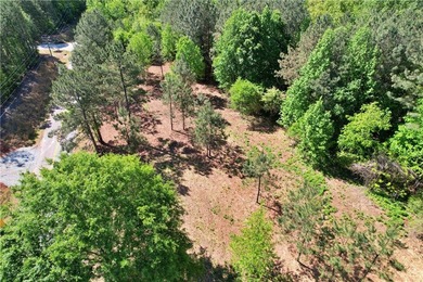 This nearly three-acre, level interior lake lot offers the - photo 39