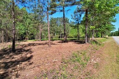 This nearly three-acre, level interior lake lot offers the - photo 40