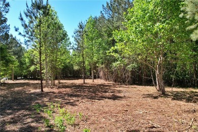 This nearly three-acre, level interior lake lot offers the - photo 41
