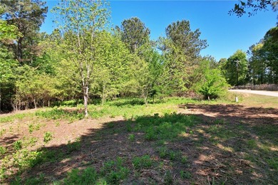 This nearly three-acre, level interior lake lot offers the - photo 42