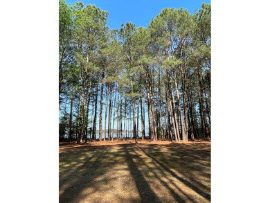Welcome to the last buildable waterfront lot in an established - photo 3