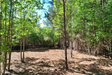 This nearly three-acre, level interior lake lot offers the - photo 43