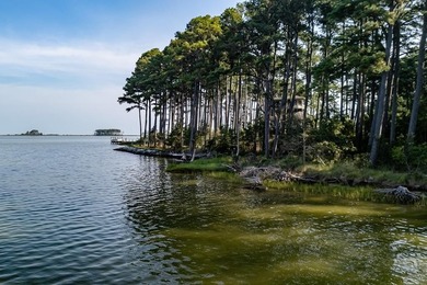 Welcome to the last buildable waterfront lot in an established - photo 4