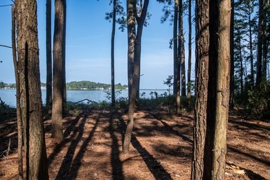 Welcome to the last buildable waterfront lot in an established - photo 5