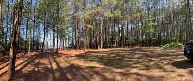 Welcome to the last buildable waterfront lot in an established - photo 6
