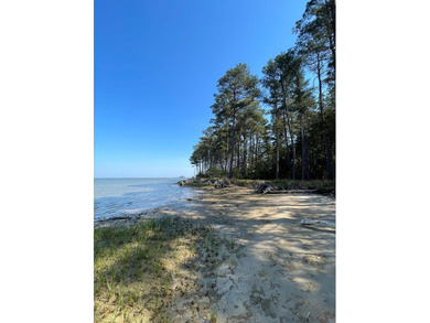 Welcome to the last buildable waterfront lot in an established - photo 9