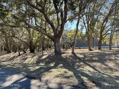 Beautiful Live Oak trees adorn this large corner lot in - photo 1