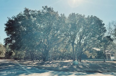 Beautiful Live Oak trees adorn this large corner lot in - photo 2