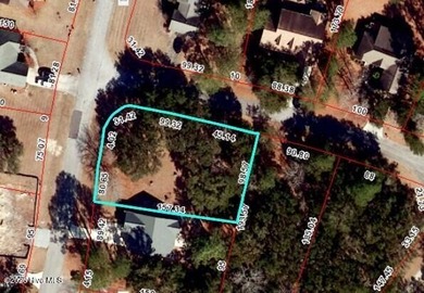 Beautiful Live Oak trees adorn this large corner lot in - photo 3