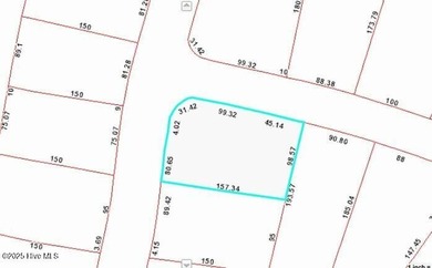 Beautiful Live Oak trees adorn this large corner lot in - photo 4