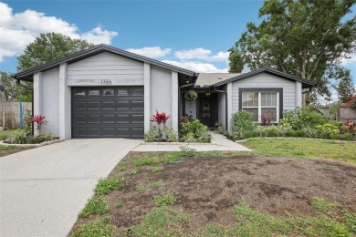 Lake Home For Sale in Brandon, Florida