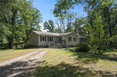 Lake Home For Sale in Greenbush Twp, Minnesota