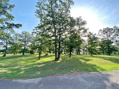 Are you looking for the perfect lake property? Look no further - photo 22