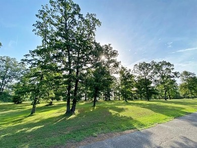 Are you looking for the perfect lake property? Look no further - photo 23