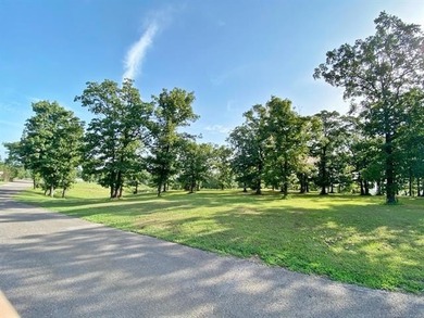 Are you looking for the perfect lake property? Look no further - photo 24