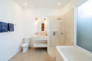 Brand New and Charming 1 BR Villa with Office Space and Rooftop - photo 14