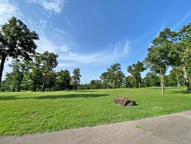 Are you looking for the perfect lake property? Look no further - photo 32