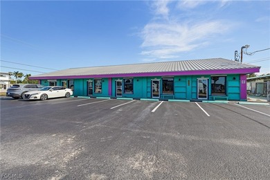 6 unit concrete block and stucco office/retail investment - photo 34