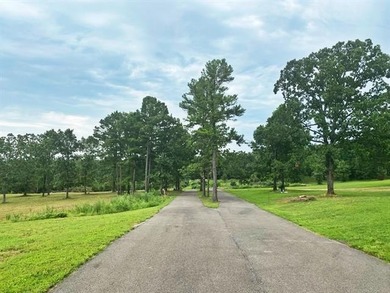 Are you looking for the perfect lake property? Look no further - photo 39